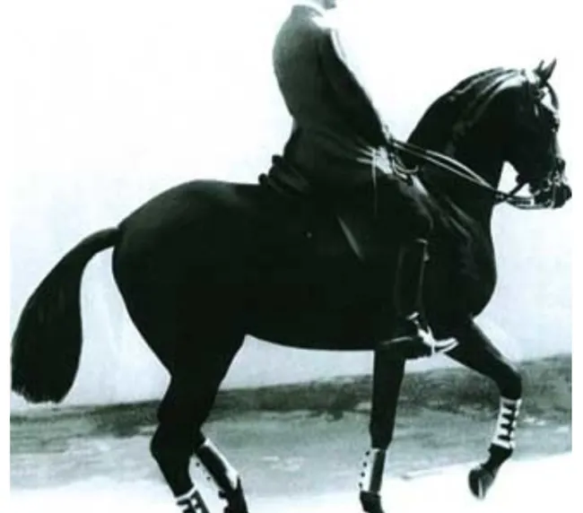 classical riding maestro nuno oliveira portugal
