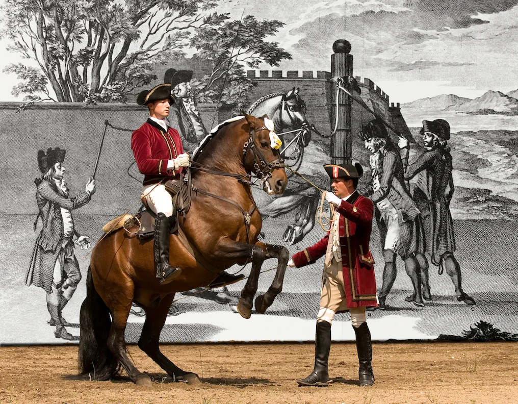 3_Portuguese_School_of_Equestrian_Art_credits_PSML_Pedro_Yglesias