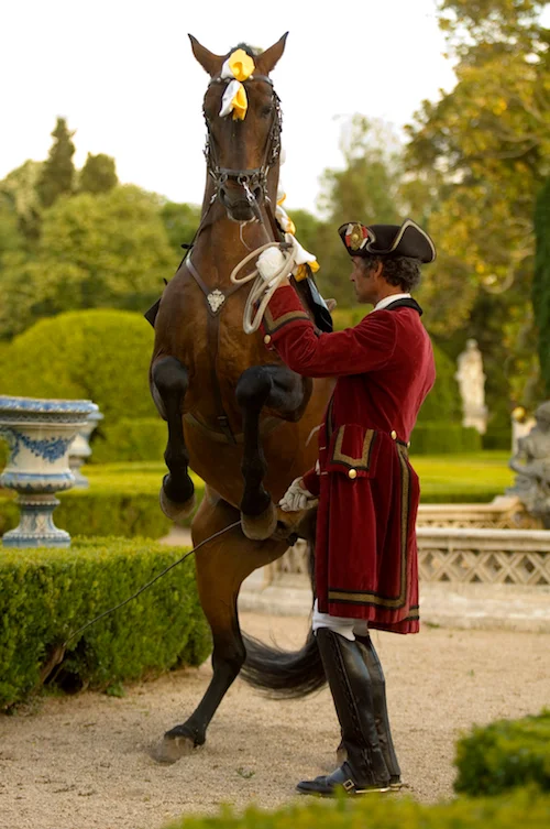 7_Portuguese_School_of_Equestrian_Art_credits_PSML_Pedro_Yglesias