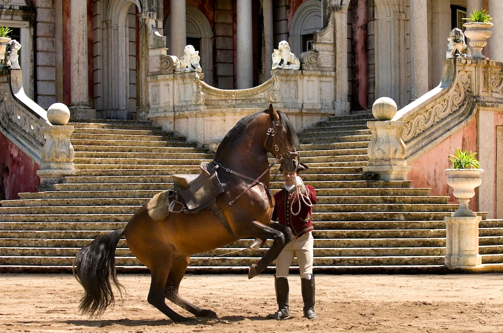 8_Portuguese_School_of_Equestrian_Art_credits_PSML_Pedro_Yglesias