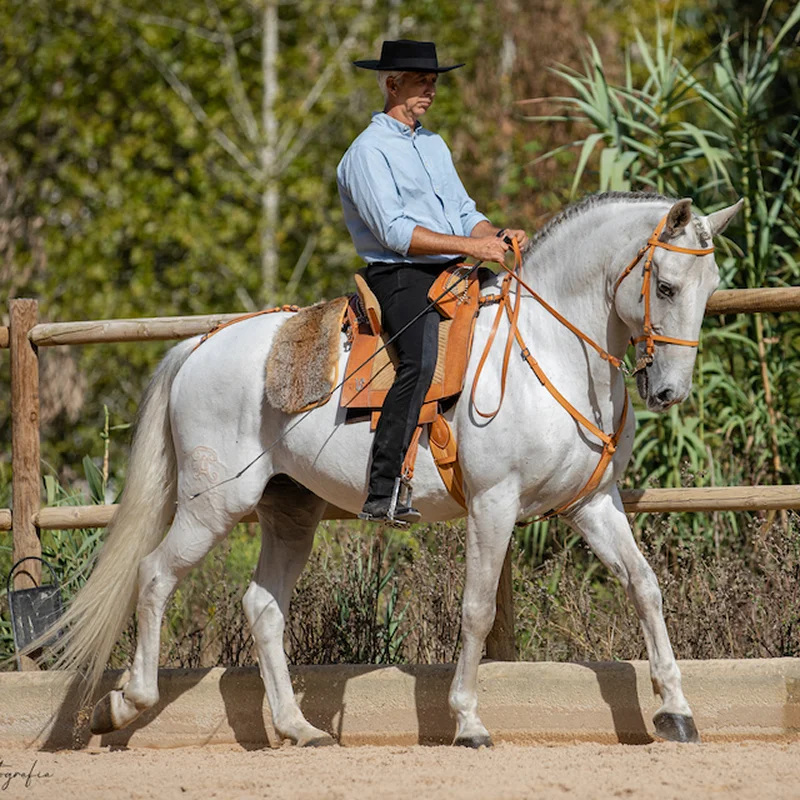nuno-cavaco-director-lusitano-heritage