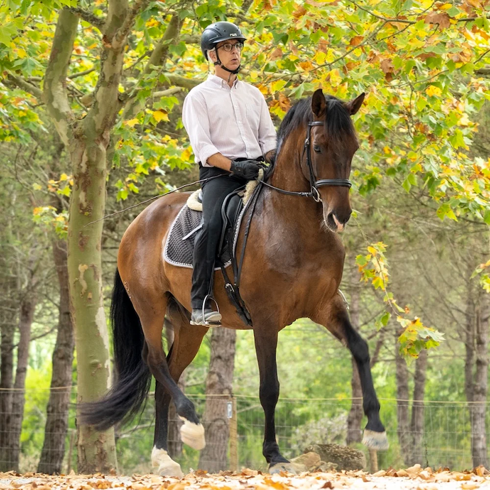 NUNO CAVACO