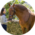 Testimonial by Emma 16 year rider