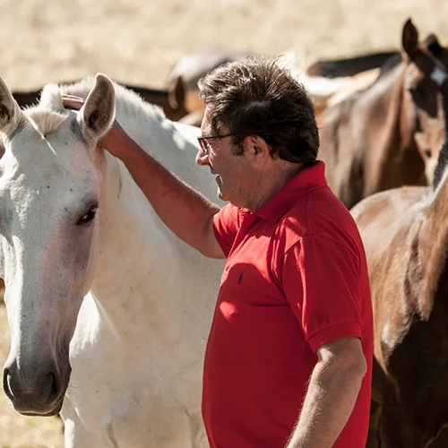 Luis-bastos-mares-lusitanos