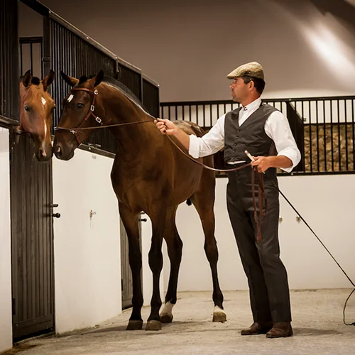 Ze-lusitano