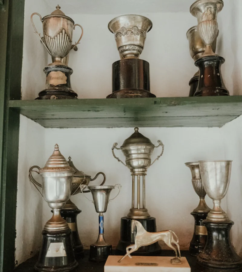 Manuel Veiga-quinta-da-broa-showing-cups