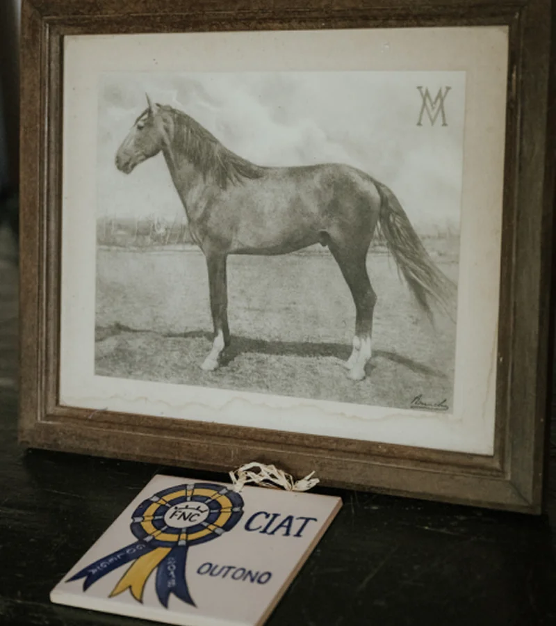 Manuel Veiga-quinta-da-broa-museum
