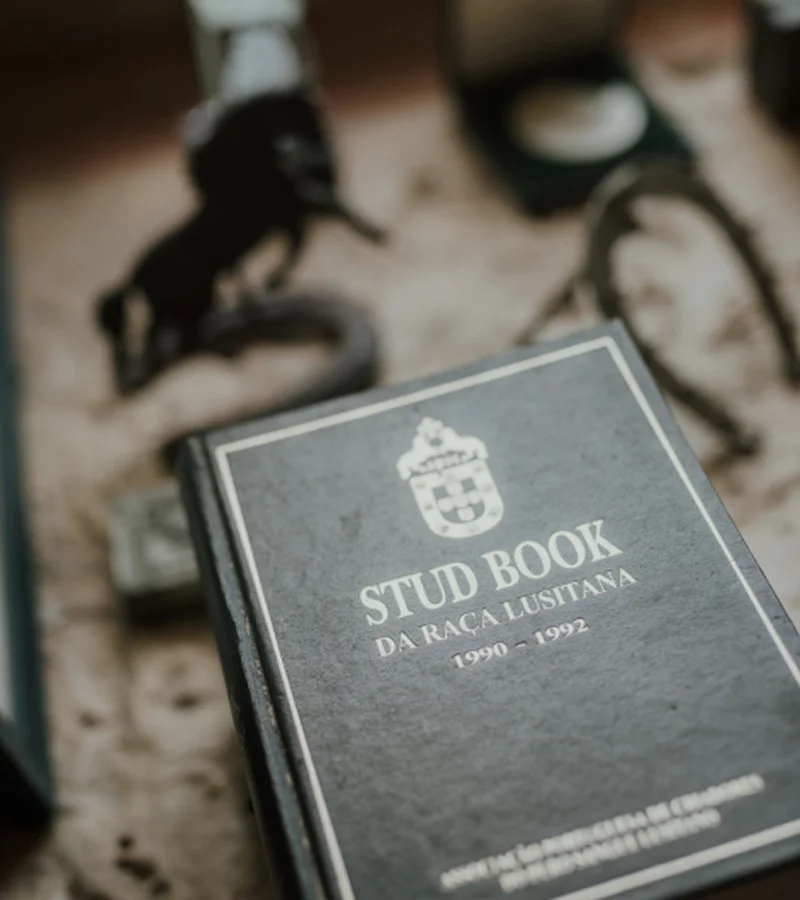 Manuel Veiga-quinta-da-broa-stud-book