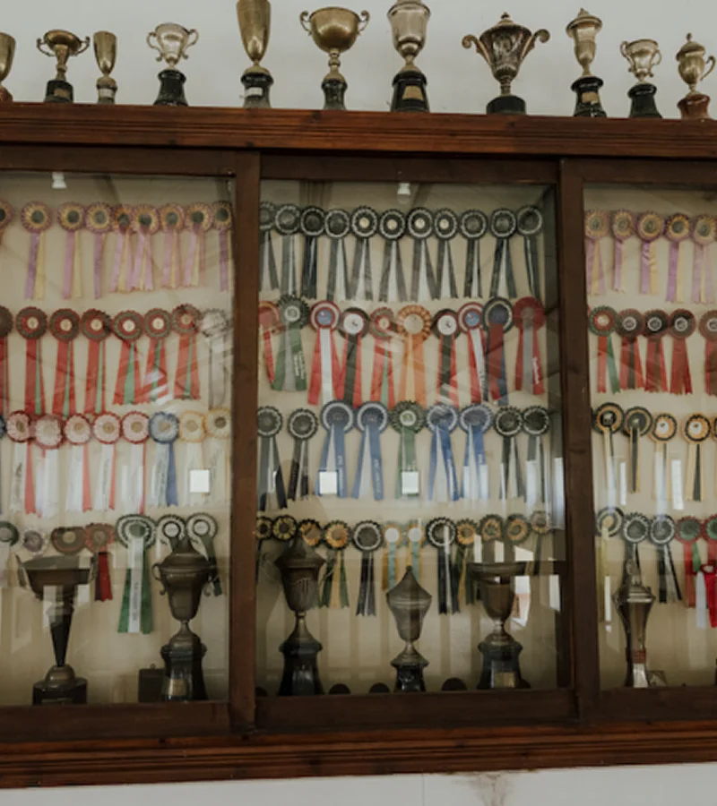 Manuel Veiga-quinta-da-broa-awards-rosettes