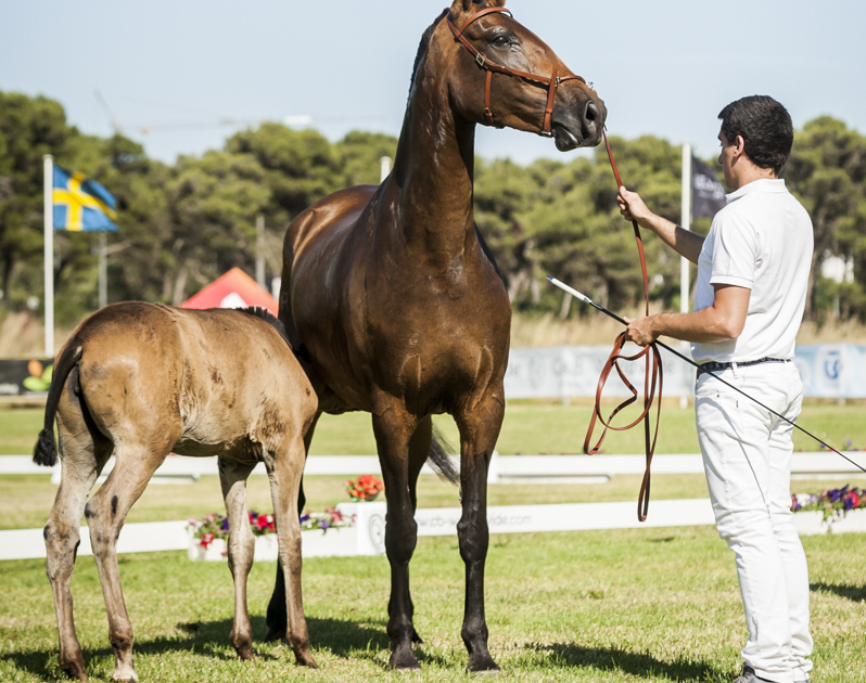 FARM FARE PORTO