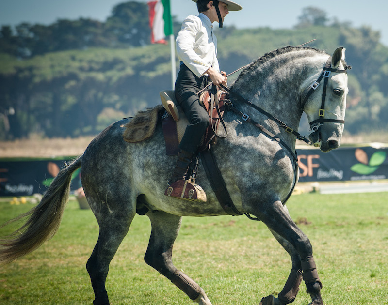 SANTAREM FOOD & ANIMAL FAIR
