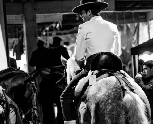 show and events