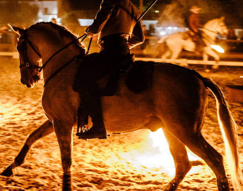 PONTE DE LIMA HORSE FAIR