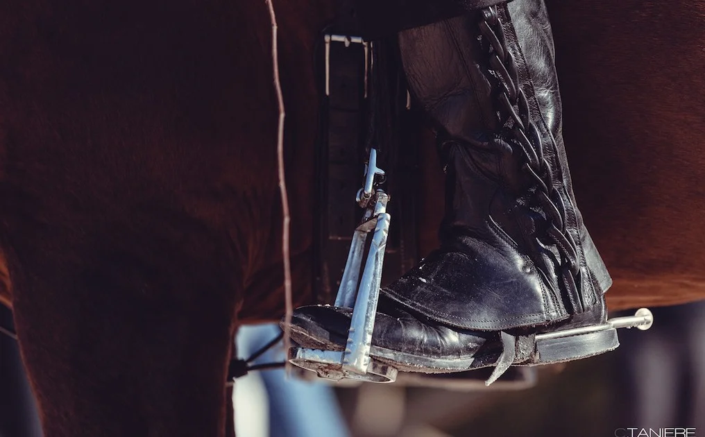 golega-ctanierephotographie-lusitano-heritage