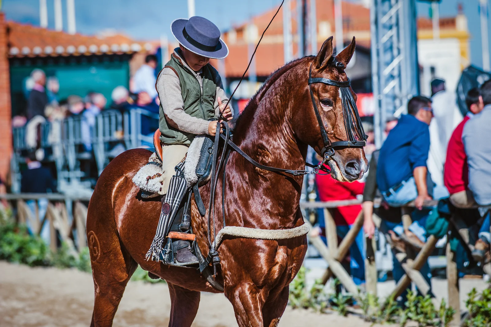 golega-article-lusitao-heritage-lena-saugen