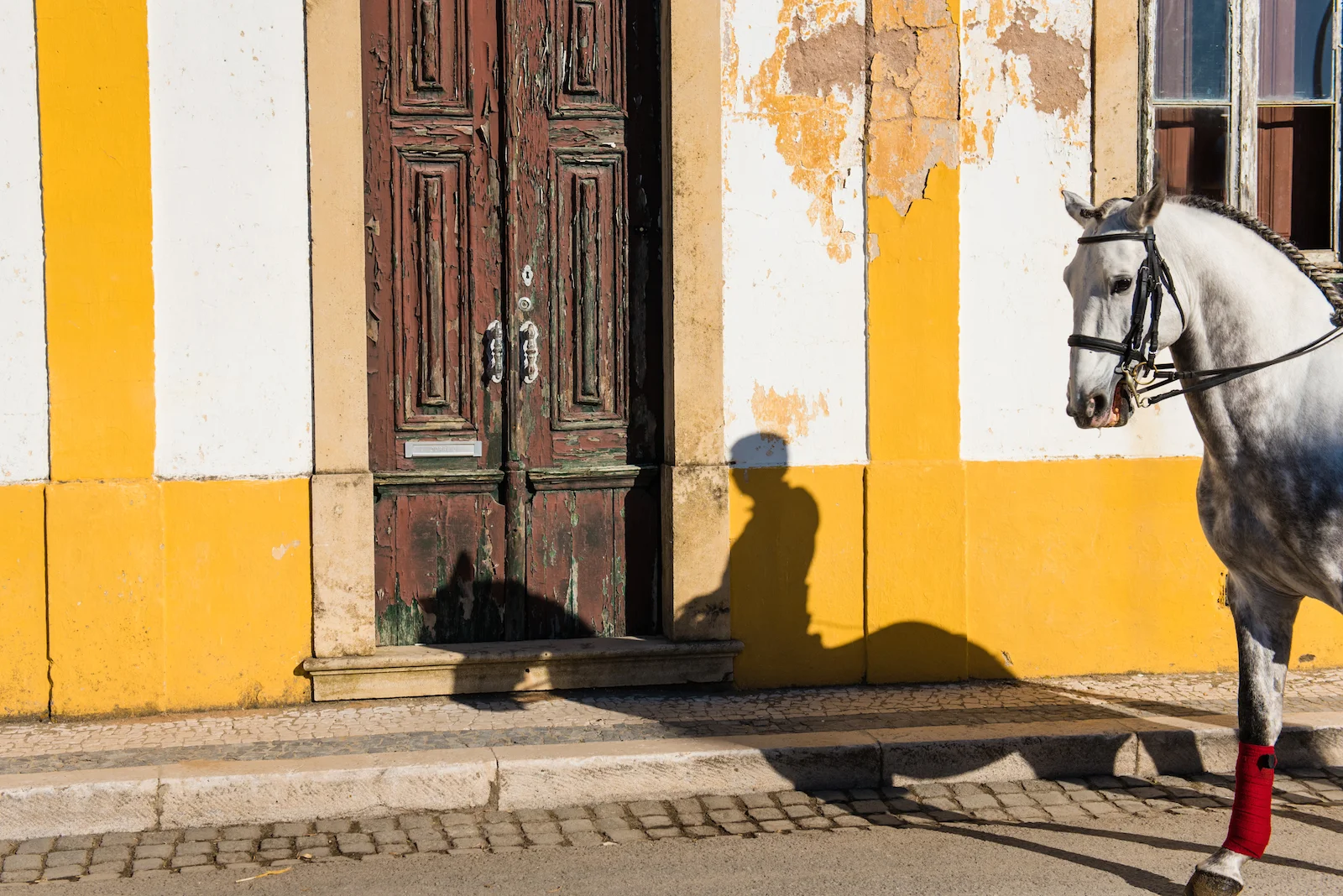 lusitano-heritage-golega-lena-saugen