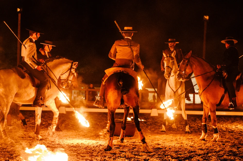 Fire display by portuguese riders and lusitanos for a birthday party in portugal