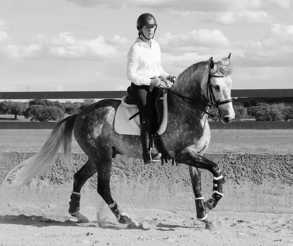 teresa-burton-lustano-heritage-founder-lusitano-nobre