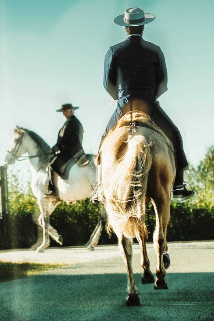Image by Lena Saugen Photography portuguese tack and dress at Lusitano Heritage