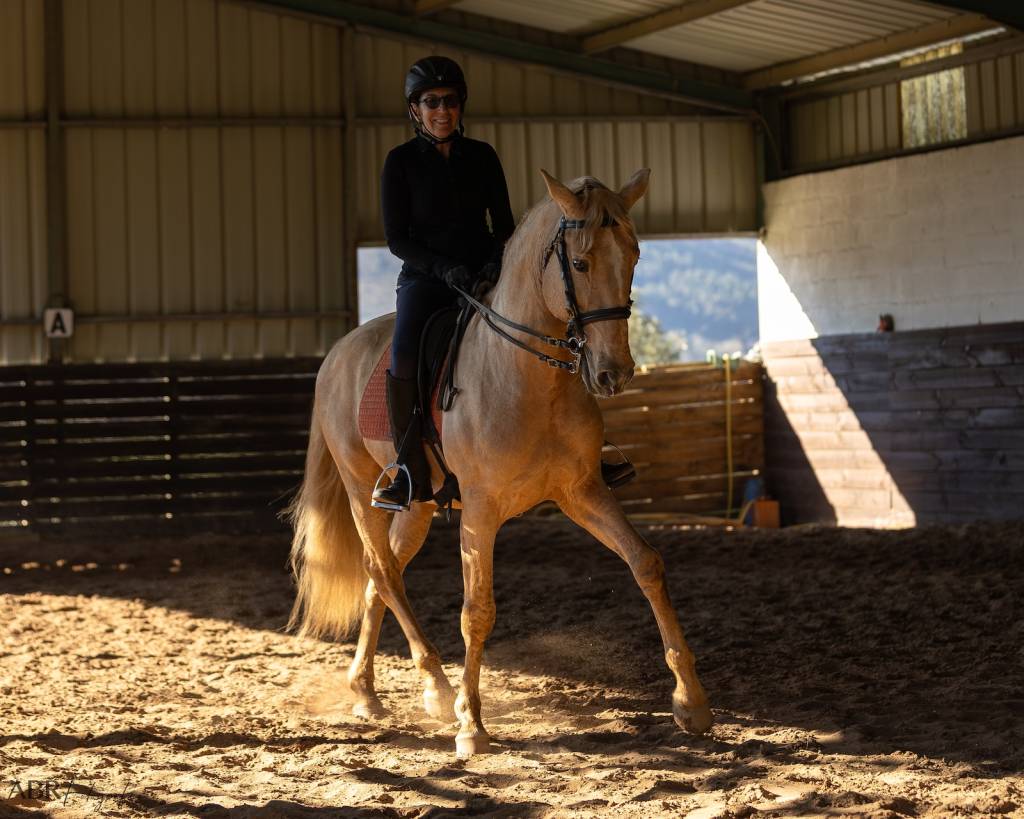 Rider Robynn from the USA learning at Lusitano Heritage on palamino lusitano