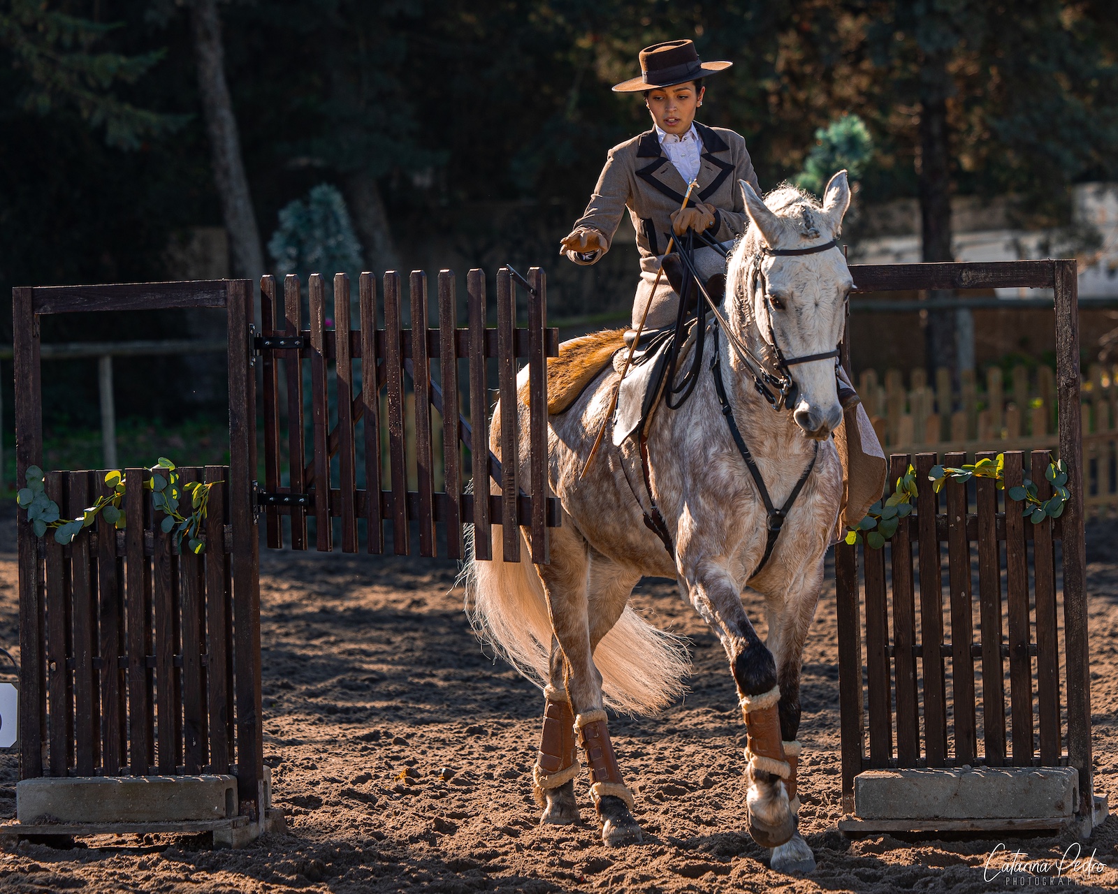 carolina competing side saddle on her lusitano in working equitation
