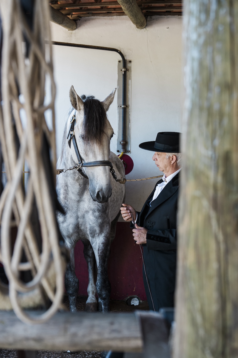 Nuno Cavaco director at Lusitano Heritage in Malveira Portugal