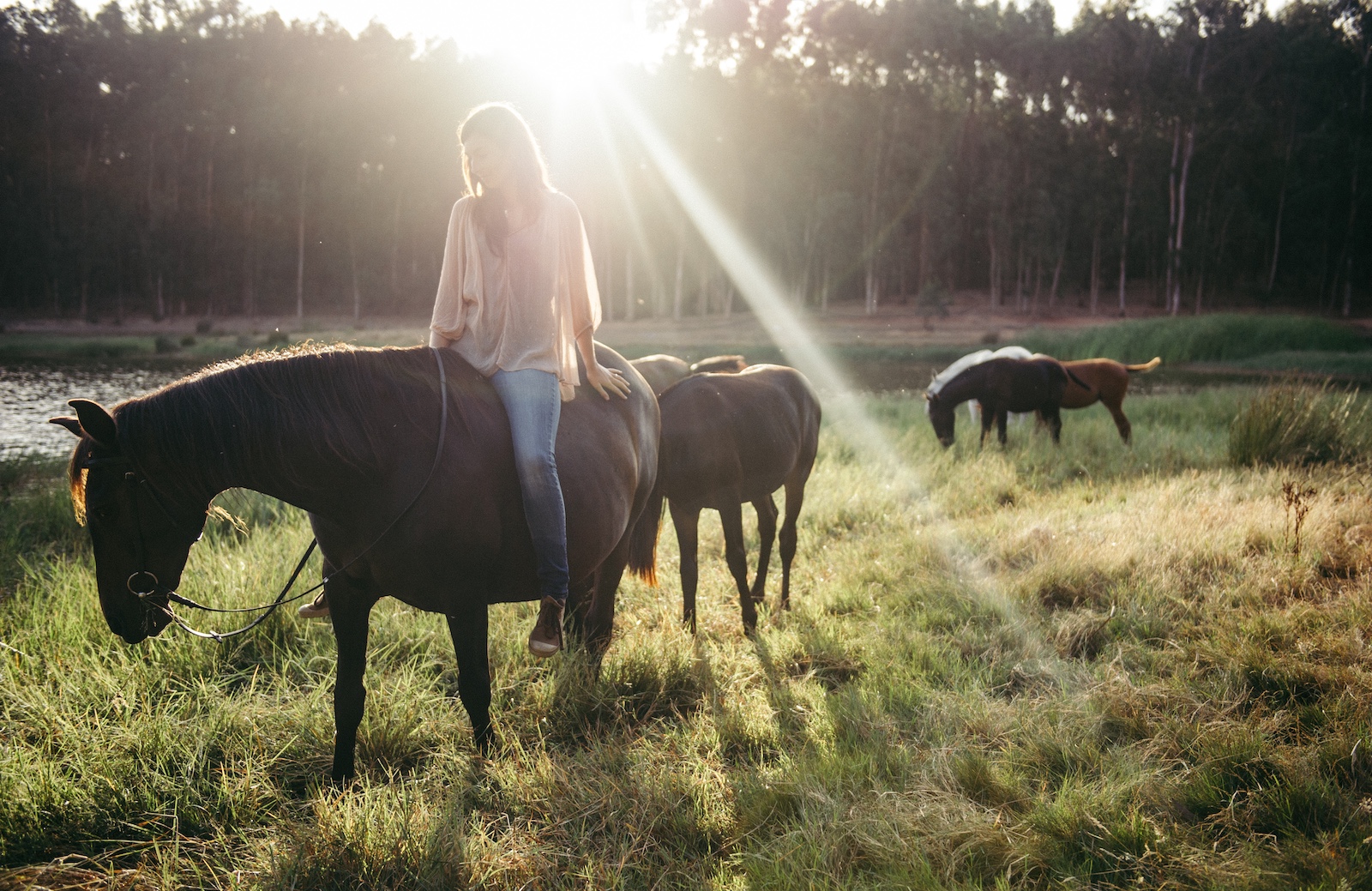 lusitano mares and foals by lake emergosol lusitanos by lena saugen for lusitano heritage